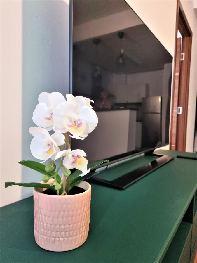 Summer-Onix Navodari Apartament Bagian luar foto